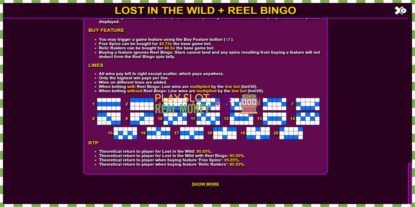 Слот Lost in the Wild with Reel Bingo на реальные деньги, картинка - 7