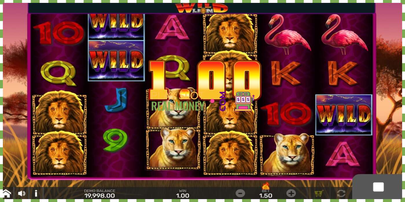 Slot Wild Lion with Reel Bingo for real money, picture - 2