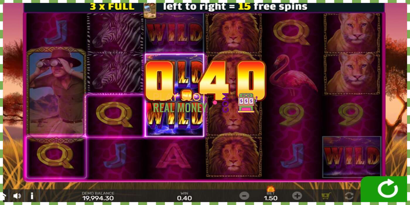 Slot Wild Lion with Reel Bingo for real money, picture - 3