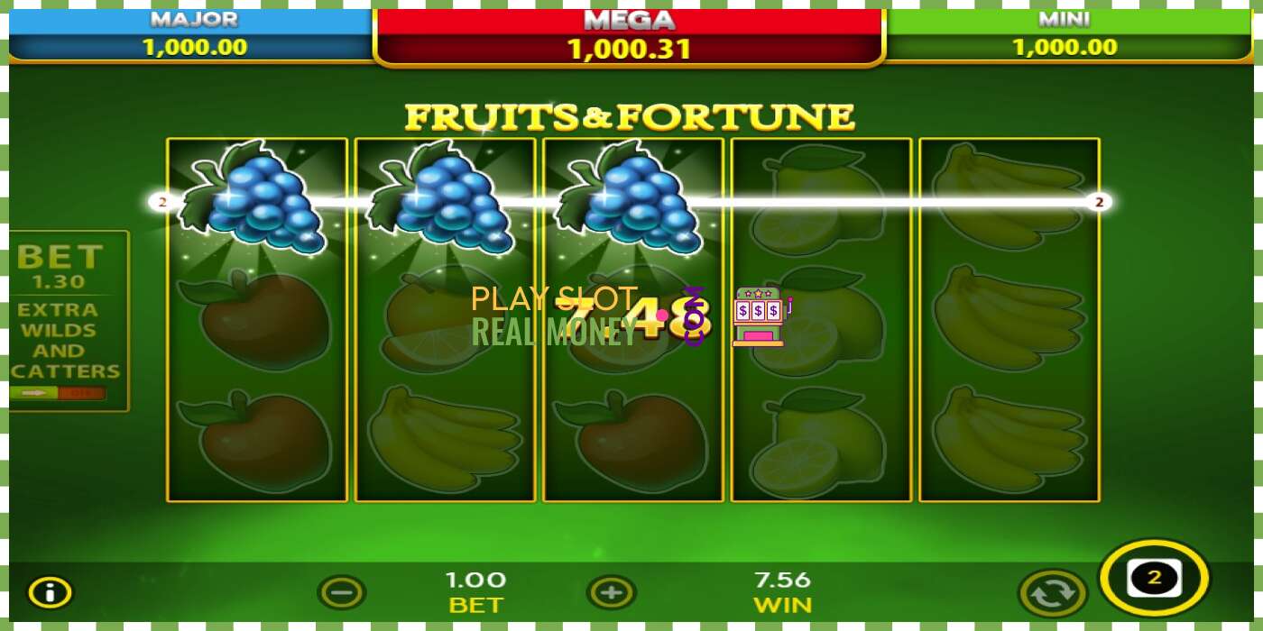 Slot Fruits & Fortune oikealla rahalla, kuva - 5