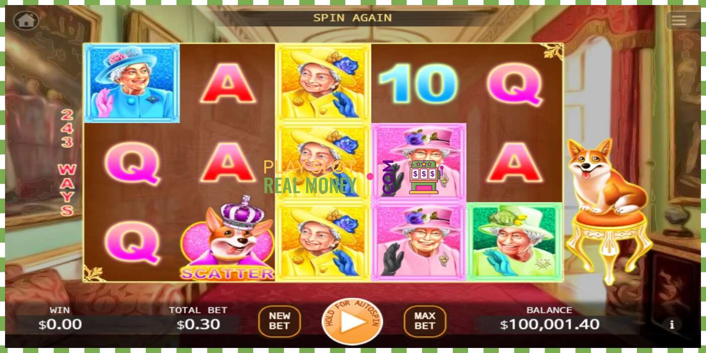 Slot Queens Corgi za skutočné peniaze, obrázok - 1