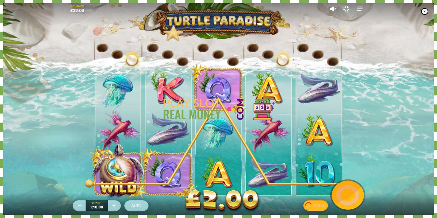 Слот Turtle Paradise на реальные деньги, картинка - 3