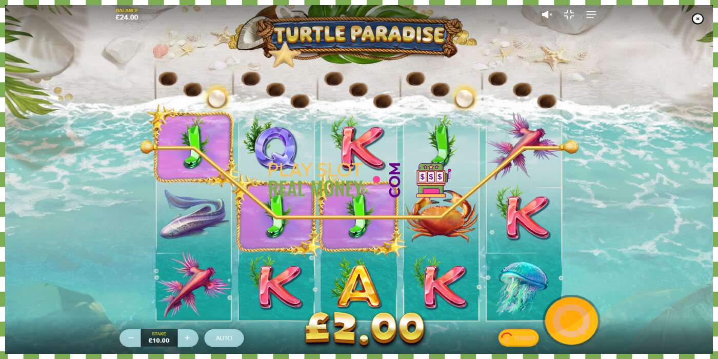 Слот Turtle Paradise на реальные деньги, картинка - 4