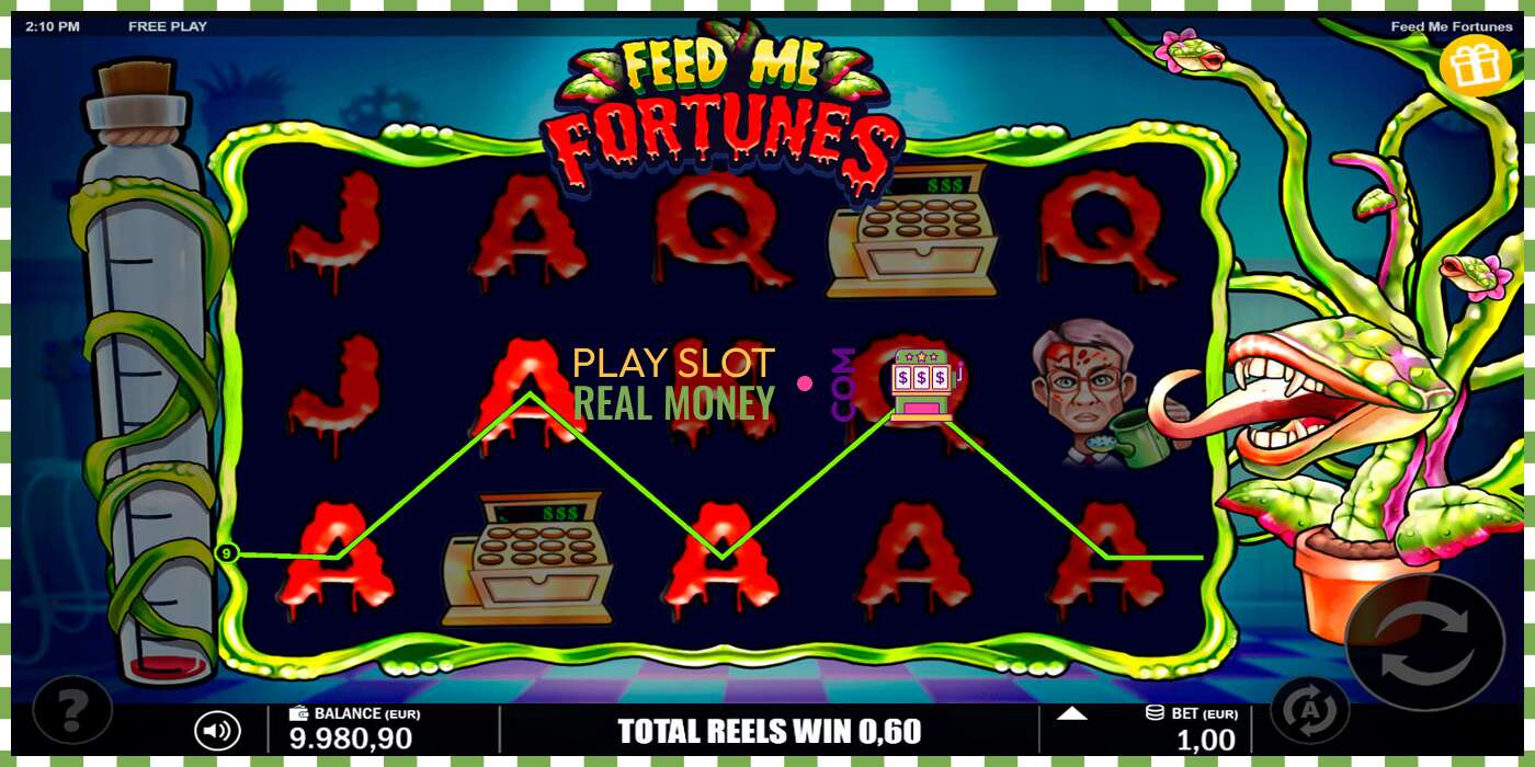 Slot Feed Me Fortunes za skutočné peniaze, obrázok - 5