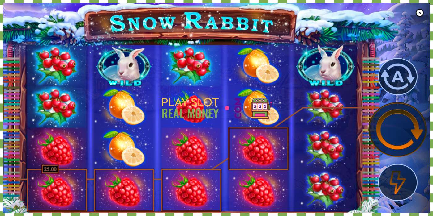 Слот Snow Rabbit на реальные деньги, картинка - 4