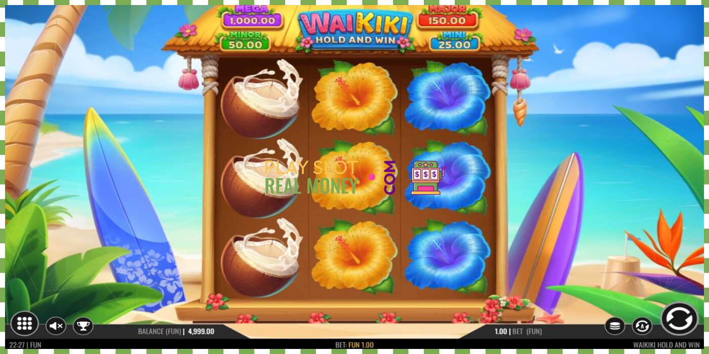 Slot Waikiki Hold and Win za skutečné peníze, obrázek - 2