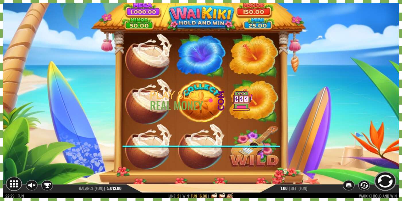 Slot Waikiki Hold and Win za skutečné peníze, obrázek - 3