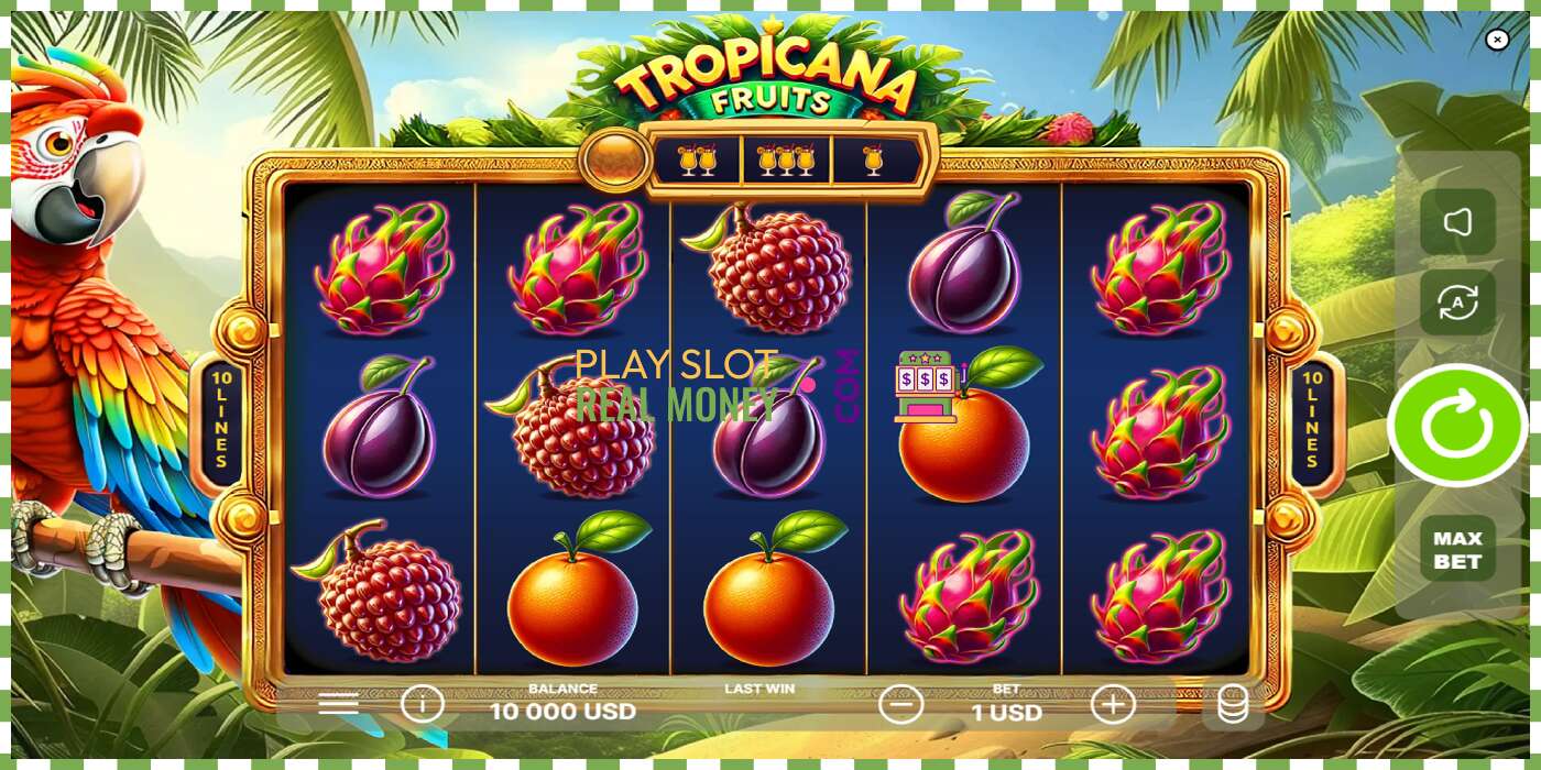 فتحة Tropicana Fruits من أجل المال الحقيقي، الصورة - 2