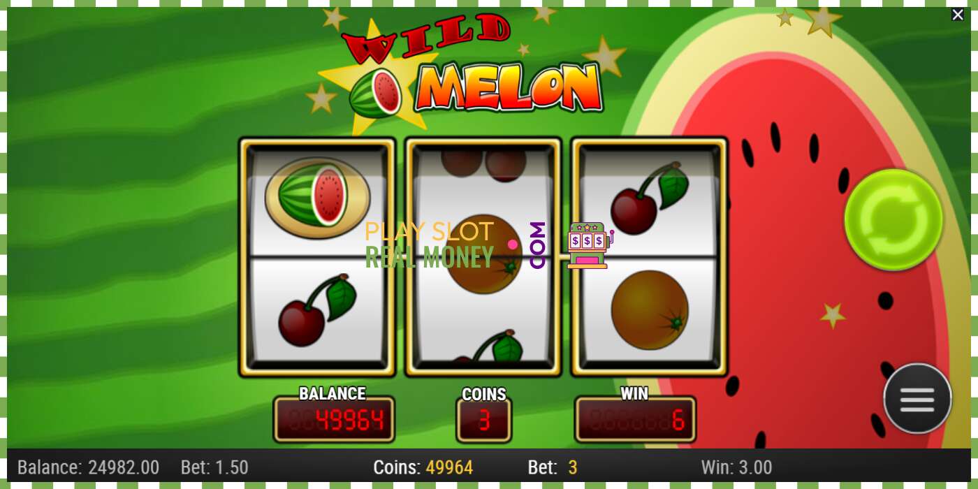 Slot Wild Melon for rigtige penge, billede - 2