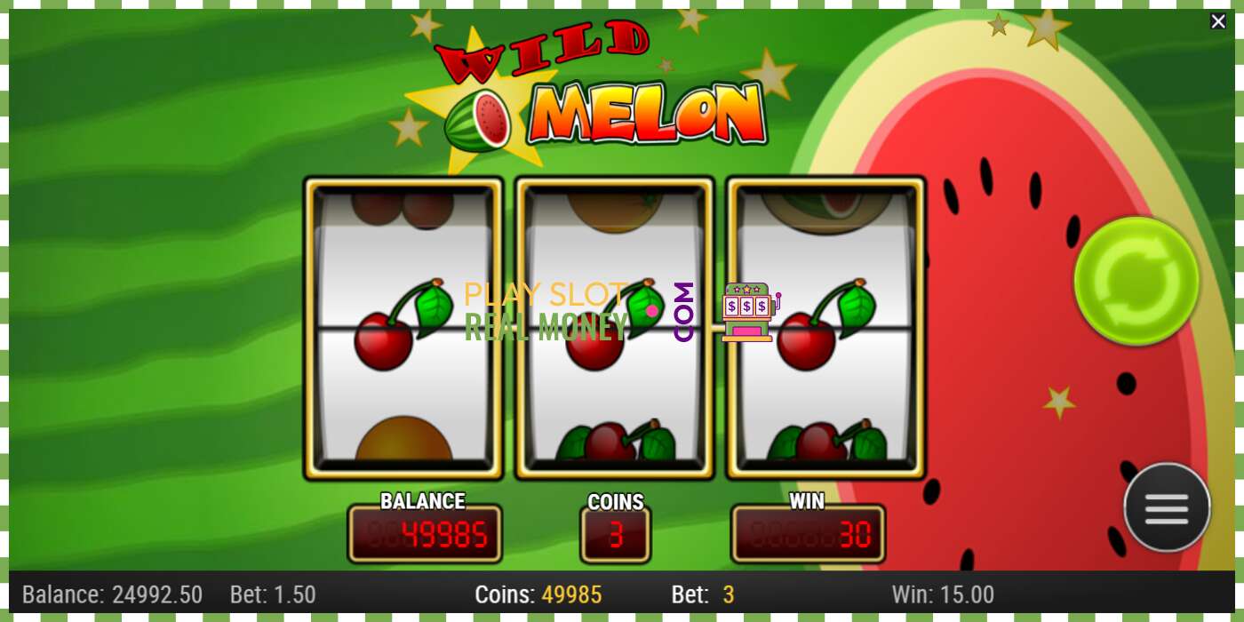 Slot Wild Melon for rigtige penge, billede - 3