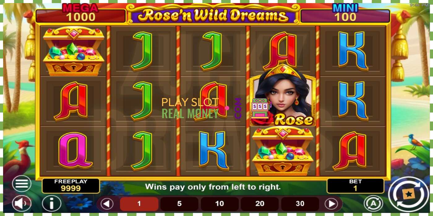 Reža Rose’n Wild Dreams Hold & Win za pravi denar, slika - 2