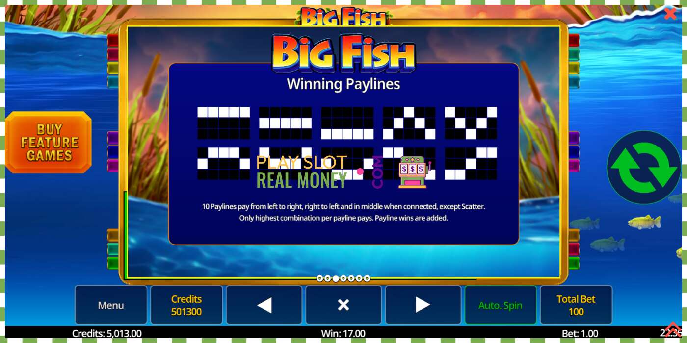 Spor Big Fish for ekte penger, bilde - 6