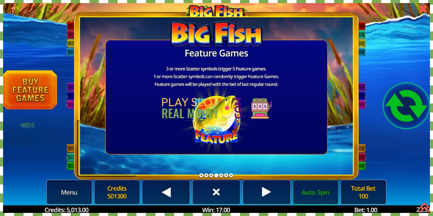 Spor Big Fish for ekte penger, bilde - 7