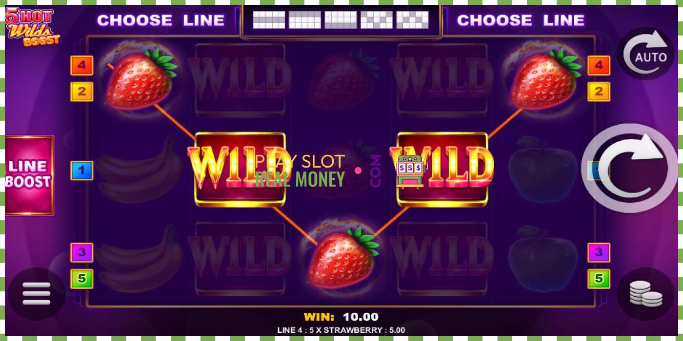 Slot 5 Hot Wilds Boost oikealla rahalla, kuva - 3