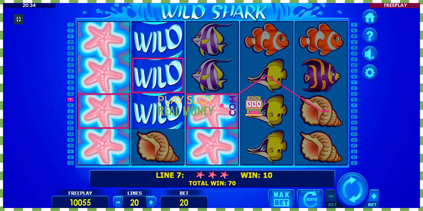 រន្ធដោត Wild Shark សម្រាប់ប្រាក់ពិត, រូបភាព - 3