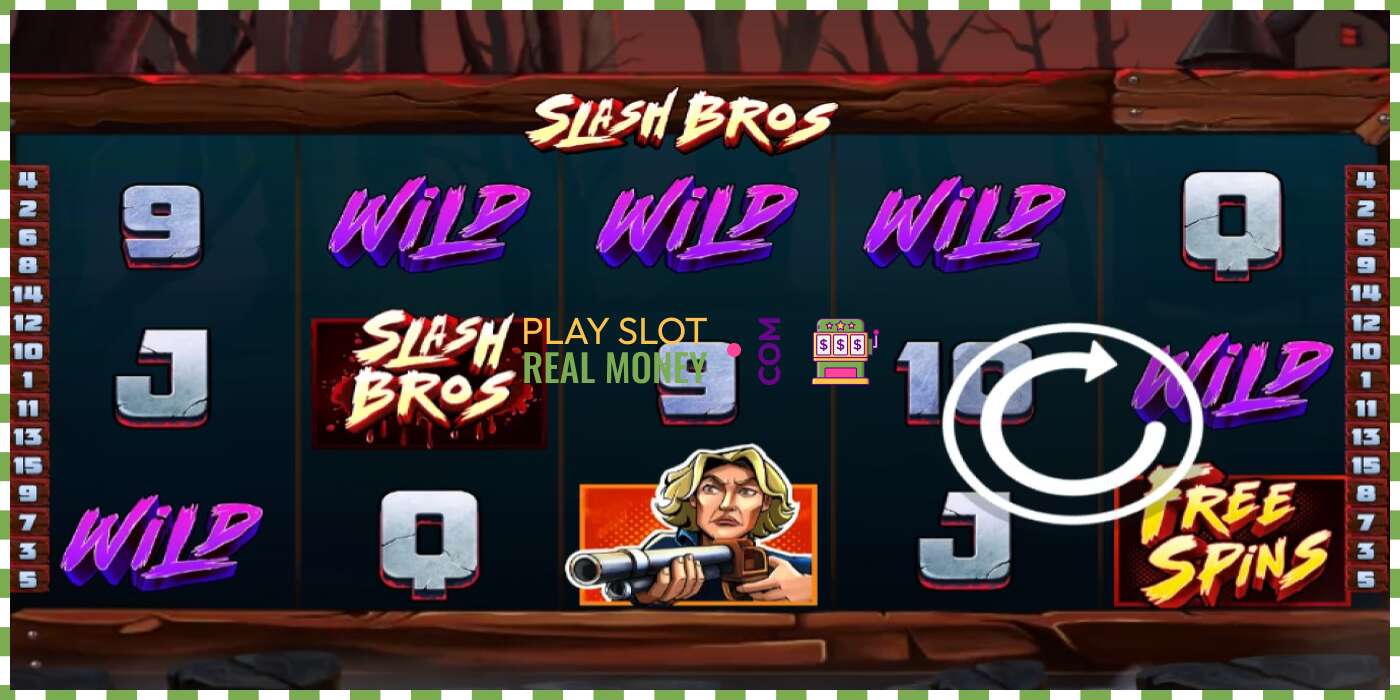 Slot Slash Bros for real money, picture - 1