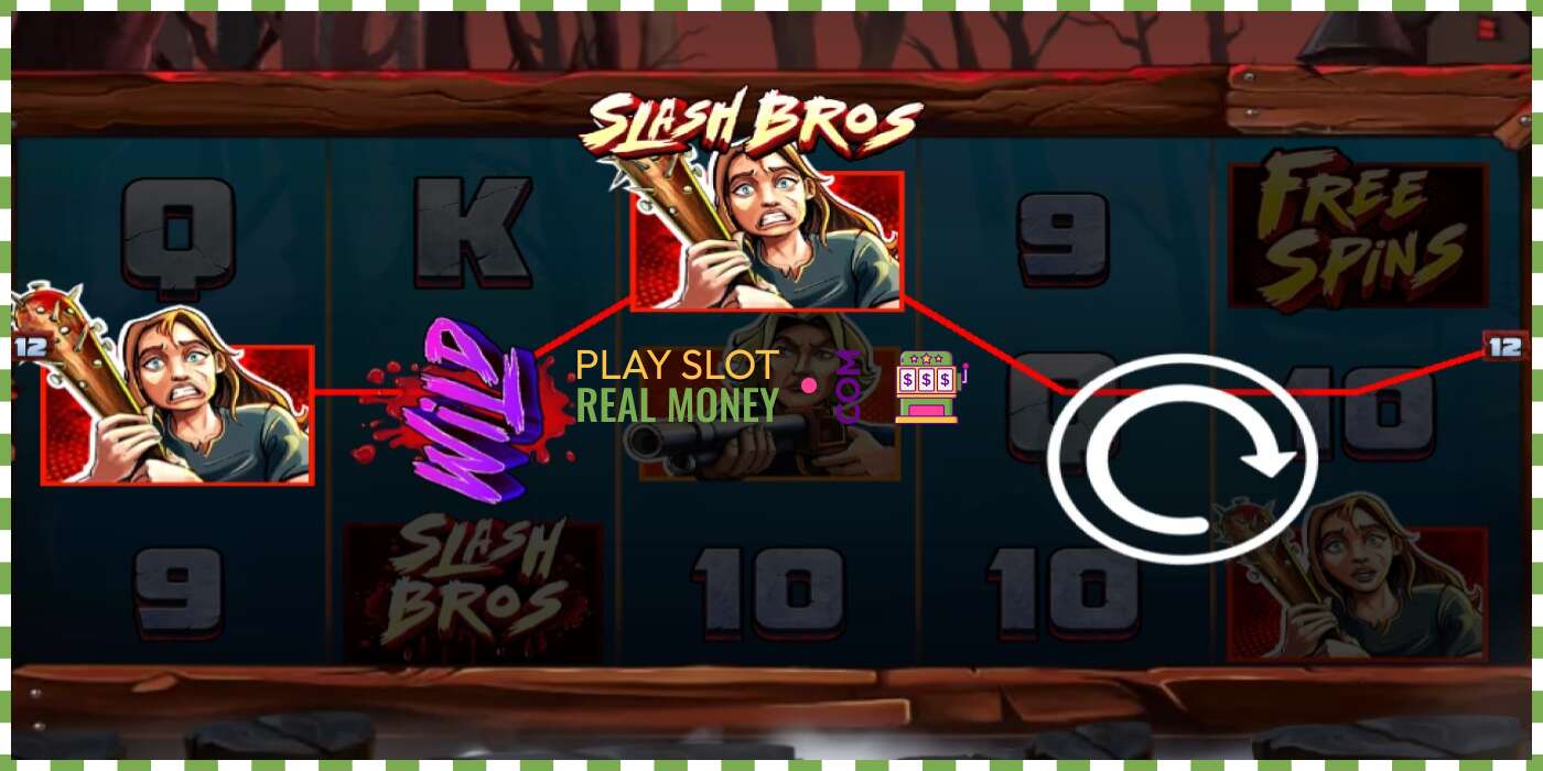 Slot Slash Bros for real money, picture - 2