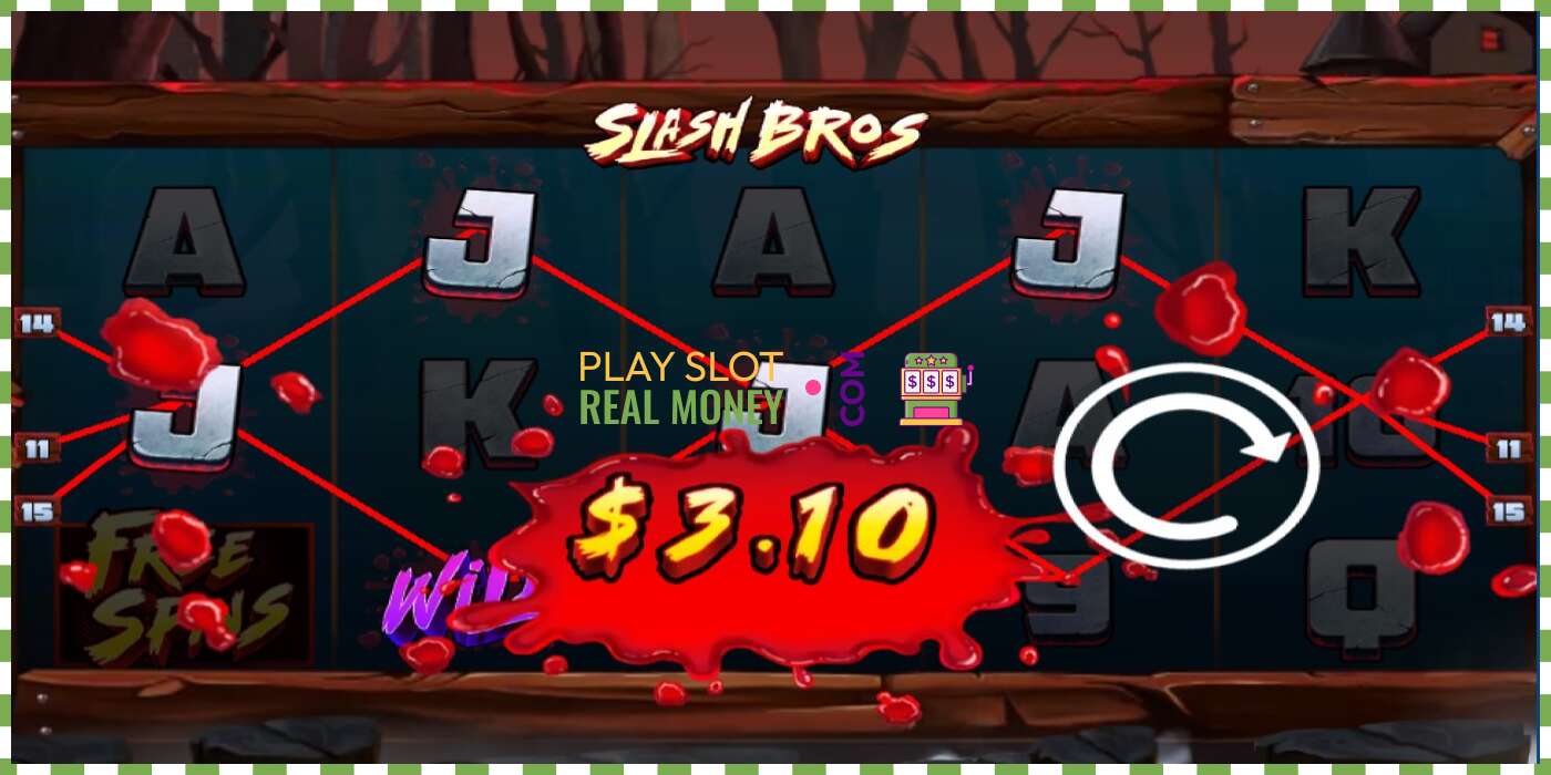 Slot Slash Bros for real money, picture - 3