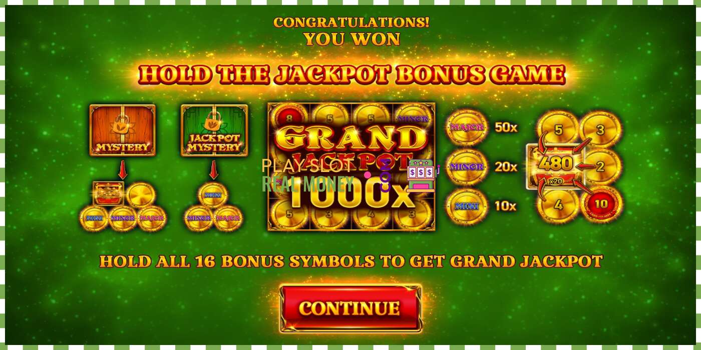 Slot 16 Coins Score The Jackpot for rigtige penge, billede - 3