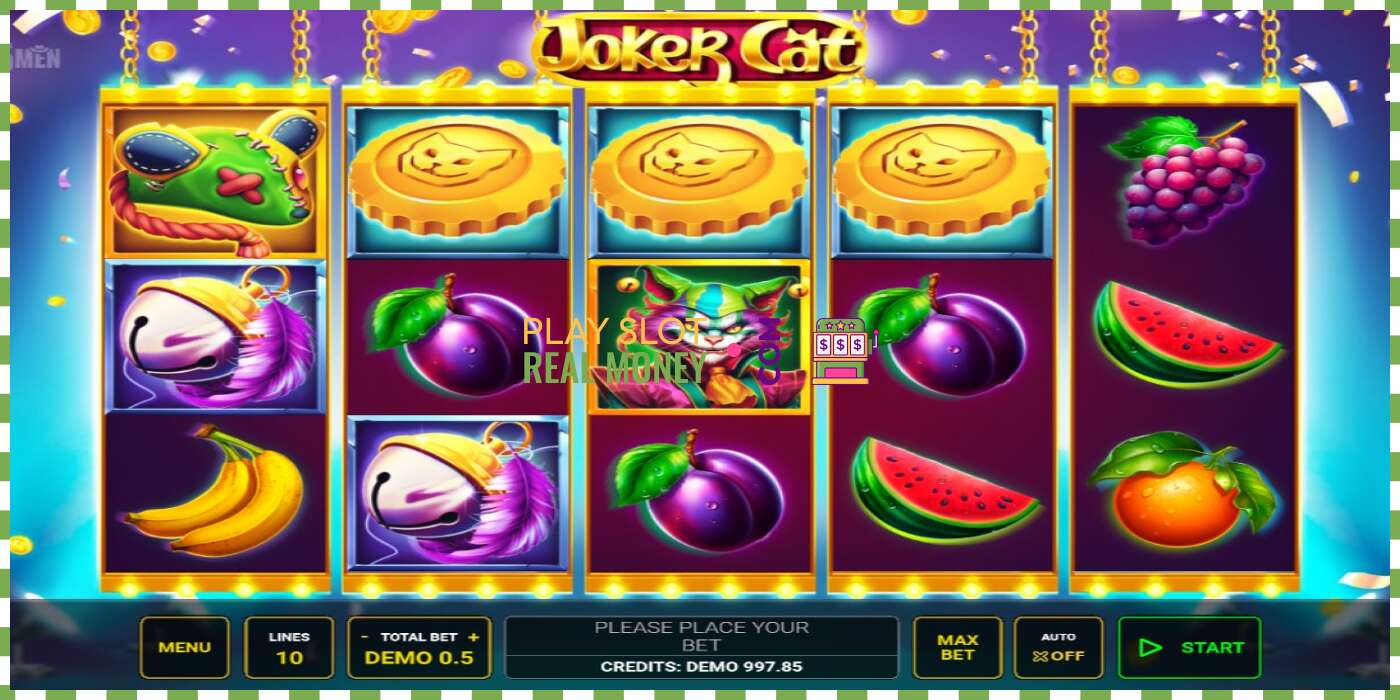 Pesa Joker Cat päris raha eest, pilt - 5