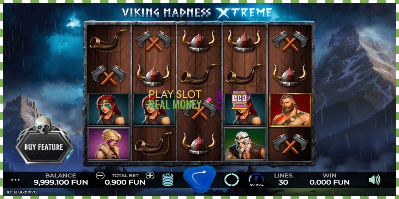 Slot Viking Madness Xtreme por dinheiro real, foto - 1