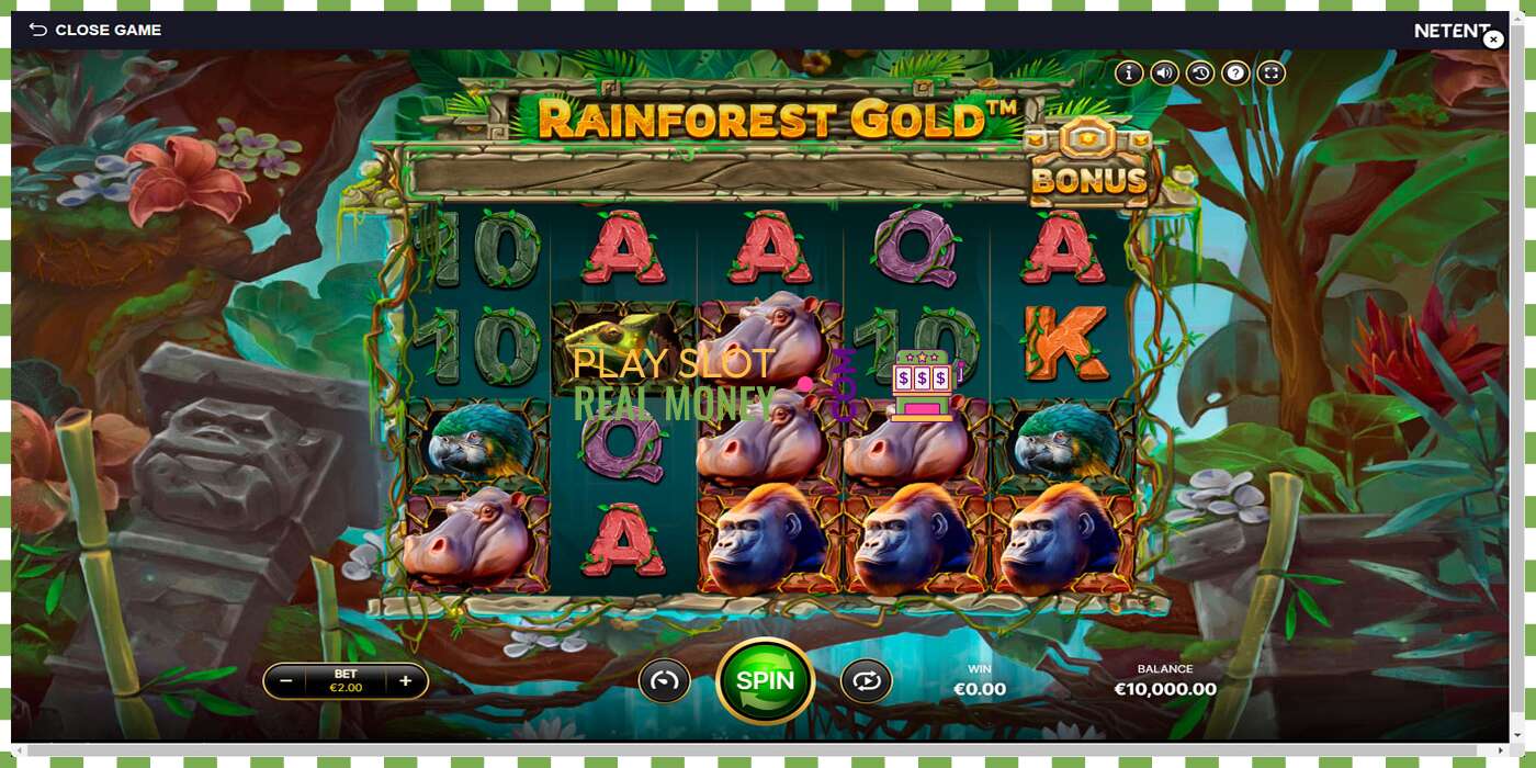 Slot Rainforest Gold por dinheiro real, foto - 1