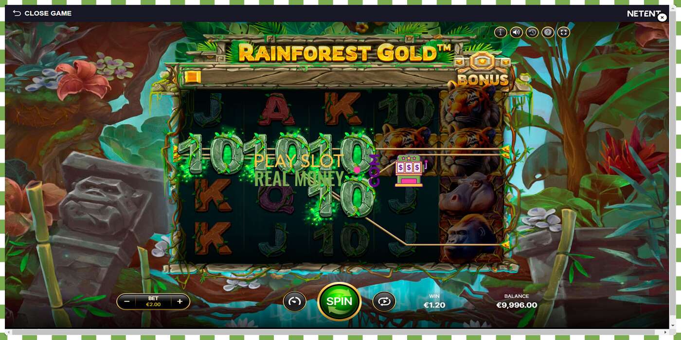 Slot Rainforest Gold por dinheiro real, foto - 2