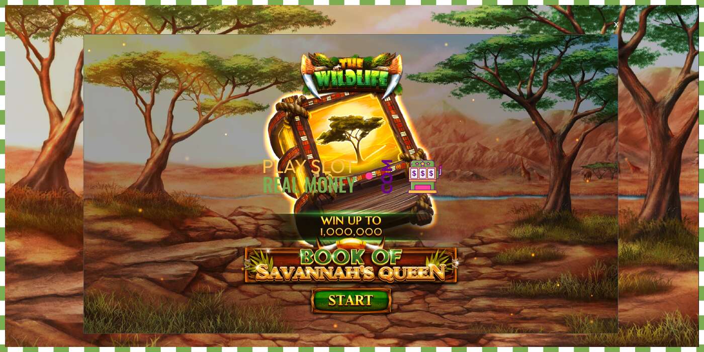 Slot Book of Savannahs Queen por dinheiro real, foto - 1