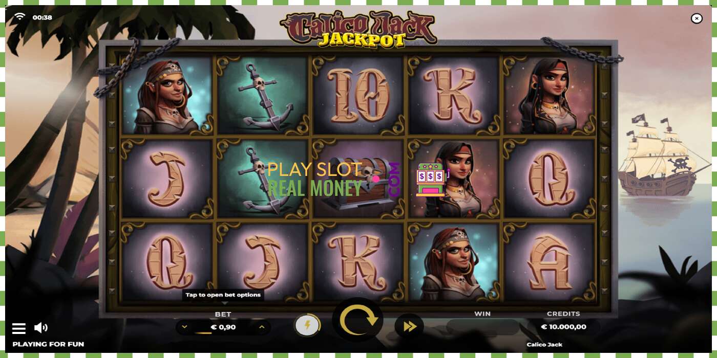 Slot Calico Jack Jackpot for rigtige penge, billede - 1