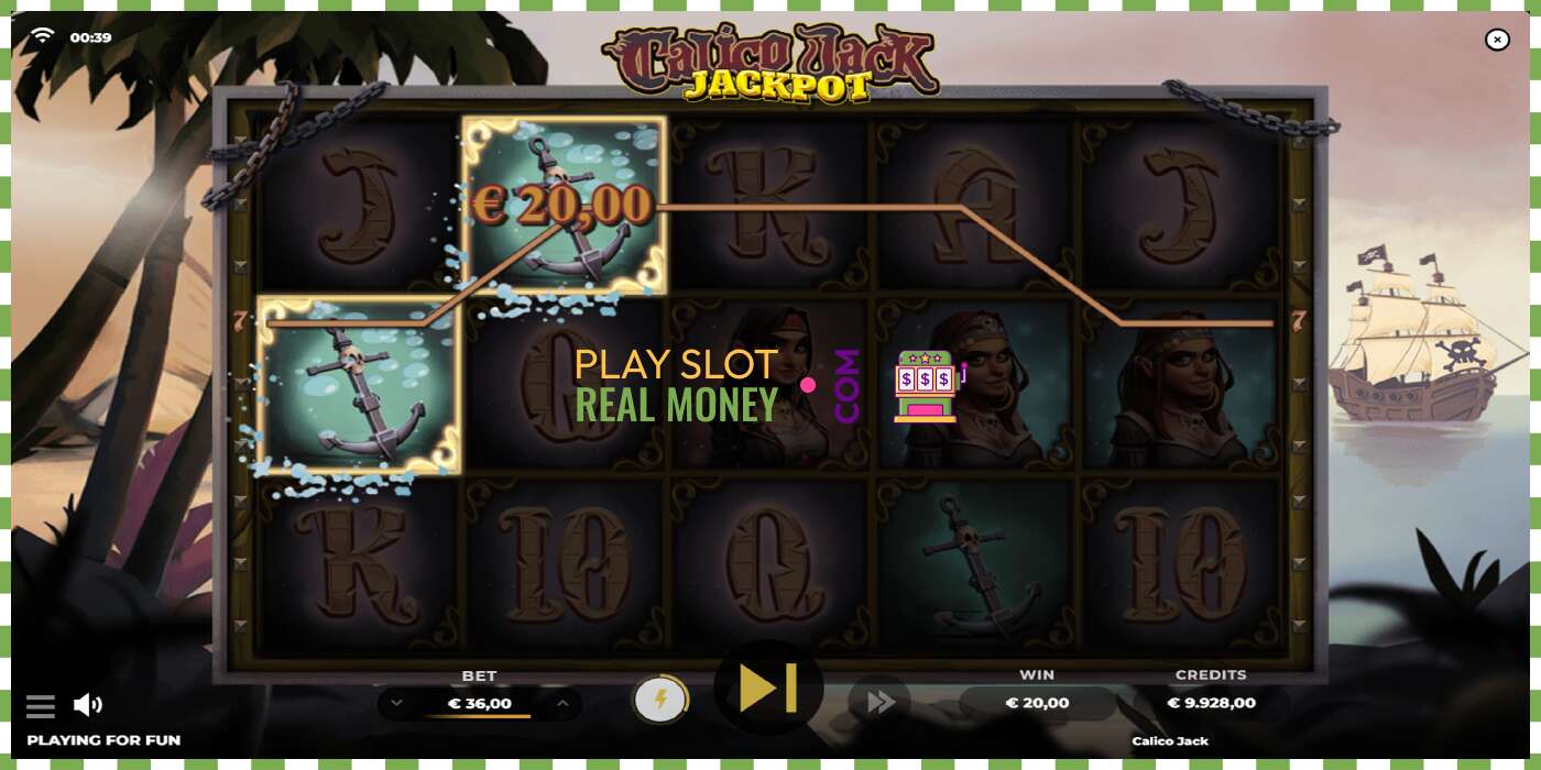 Slot Calico Jack Jackpot for rigtige penge, billede - 2