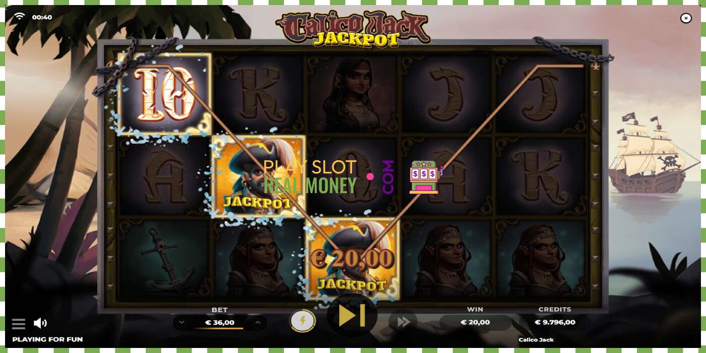 Slot Calico Jack Jackpot for rigtige penge, billede - 4