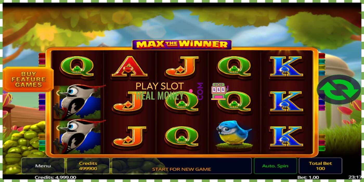 স্লট Max The Winner প্রকৃত অর্থের জন্য, ছবি - 2