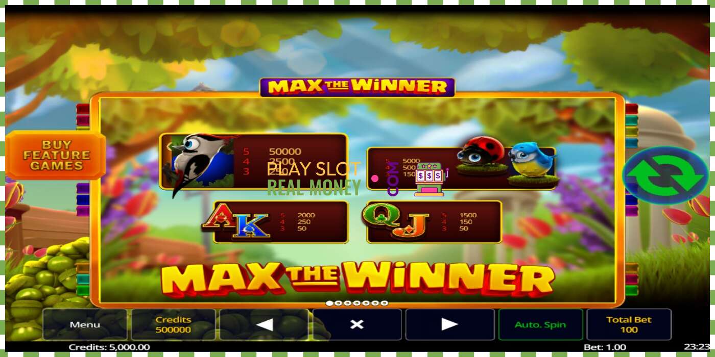 স্লট Max The Winner প্রকৃত অর্থের জন্য, ছবি - 5