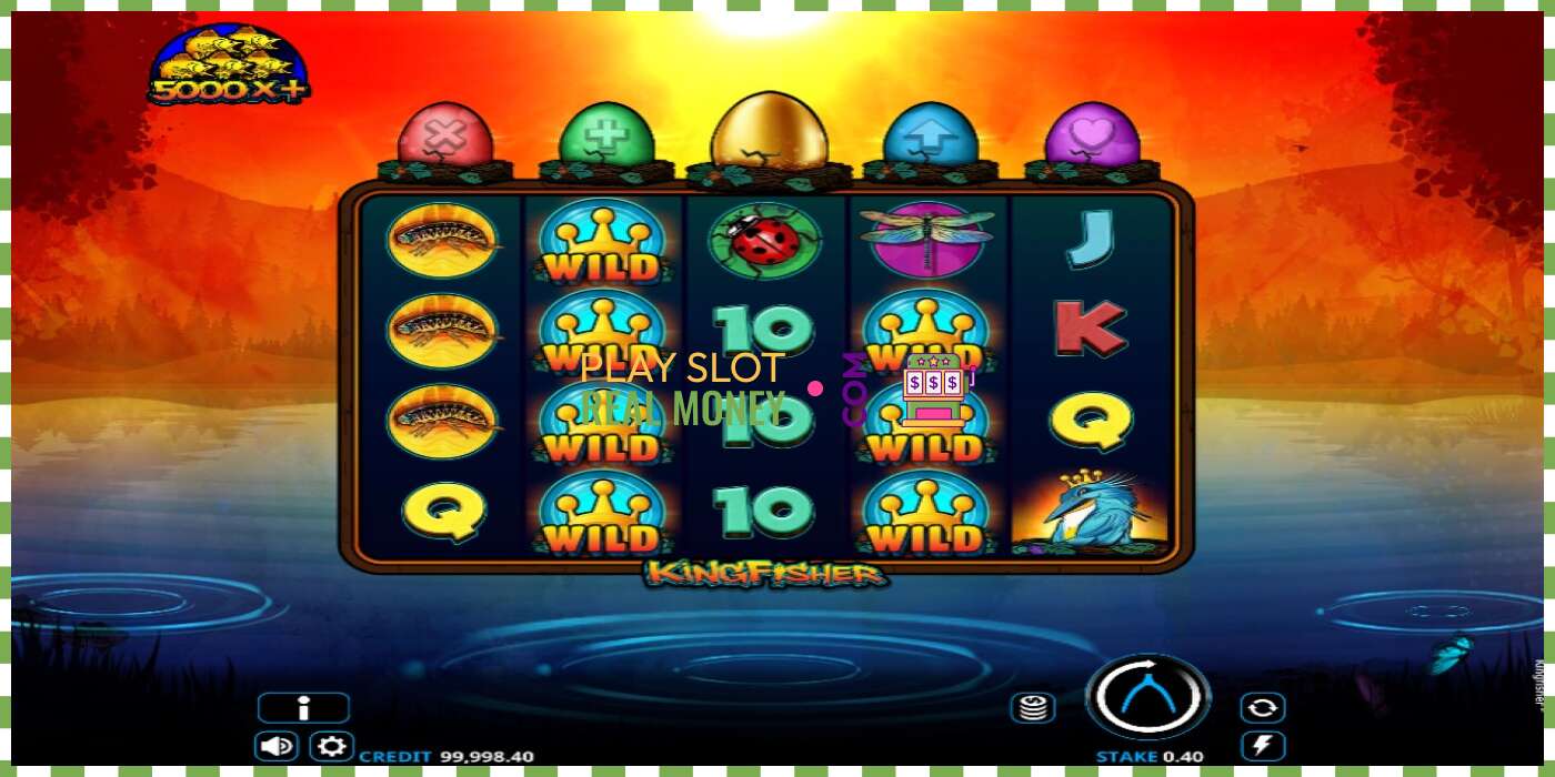 Slot Kingfisher for real money, picture - 4