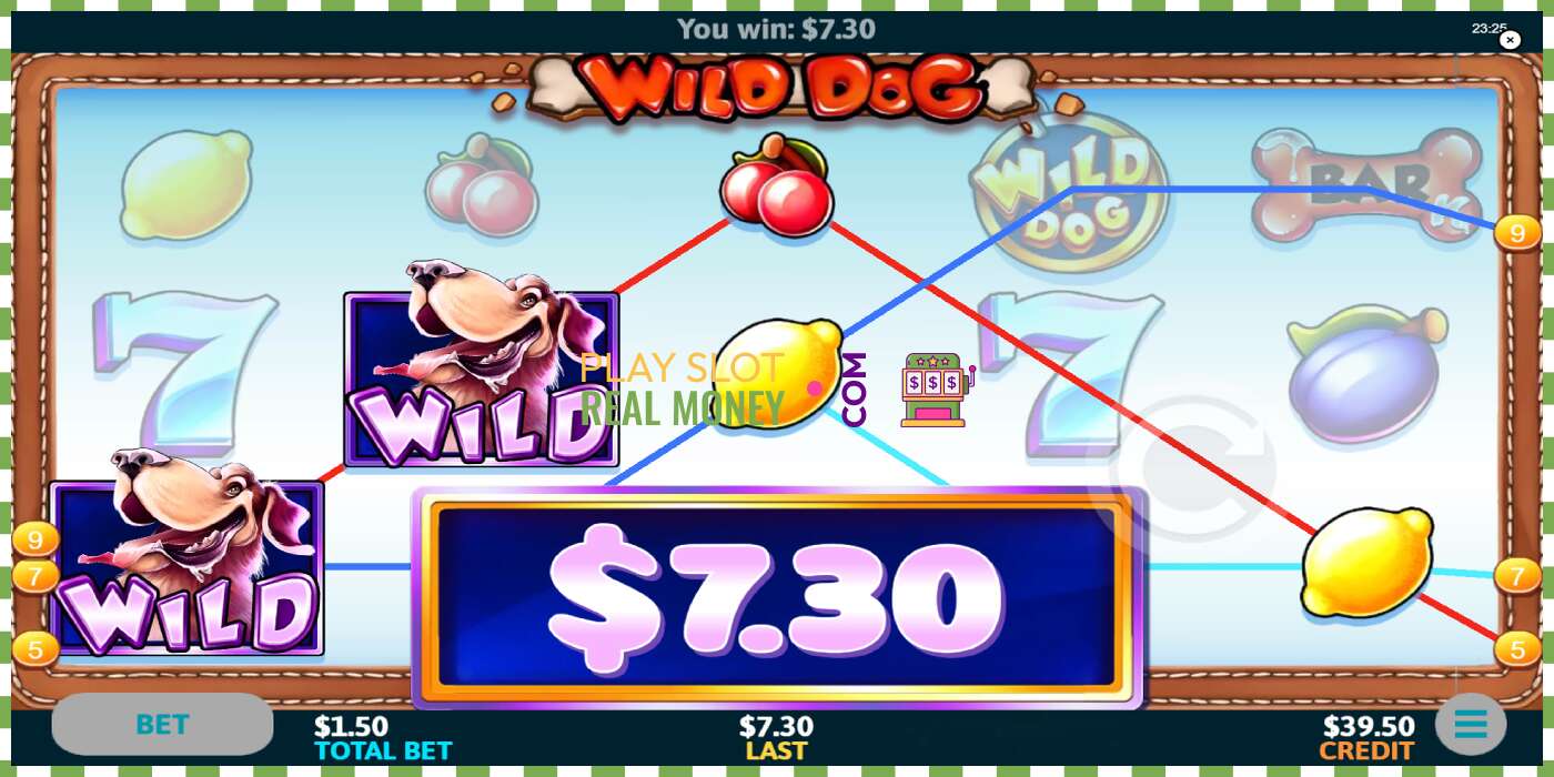 Slot Wild Dog por dinheiro real, foto - 2