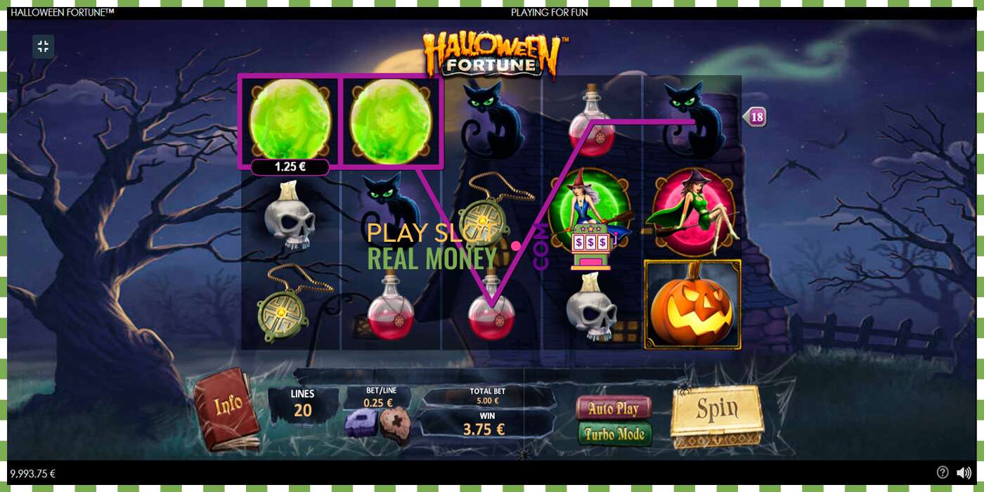 Слот Halloween Fortune на реальные деньги, картинка - 2