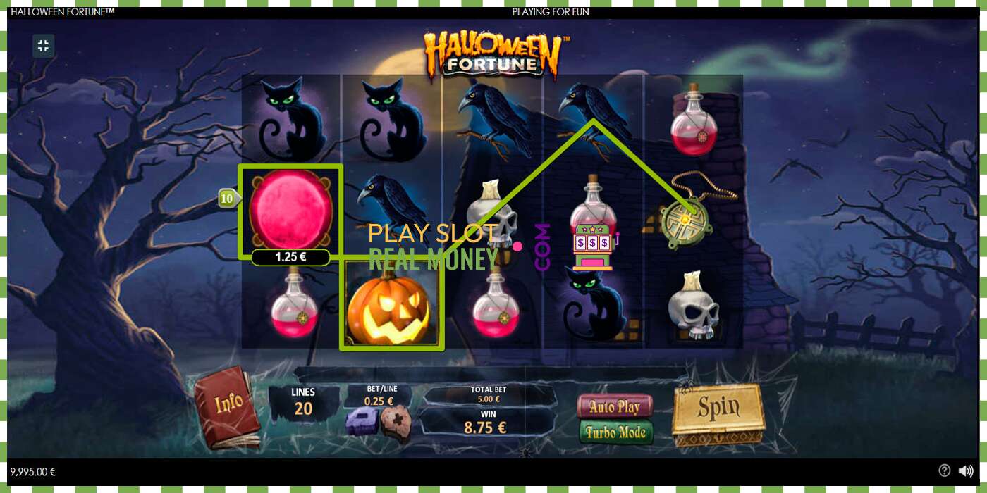 Слот Halloween Fortune на реальные деньги, картинка - 4