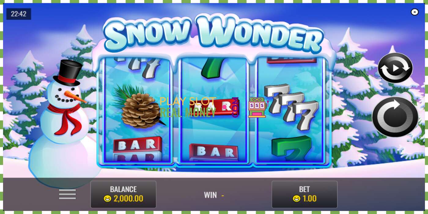 រន្ធដោត Snow Wonder សម្រាប់ប្រាក់ពិត, រូបភាព - 1