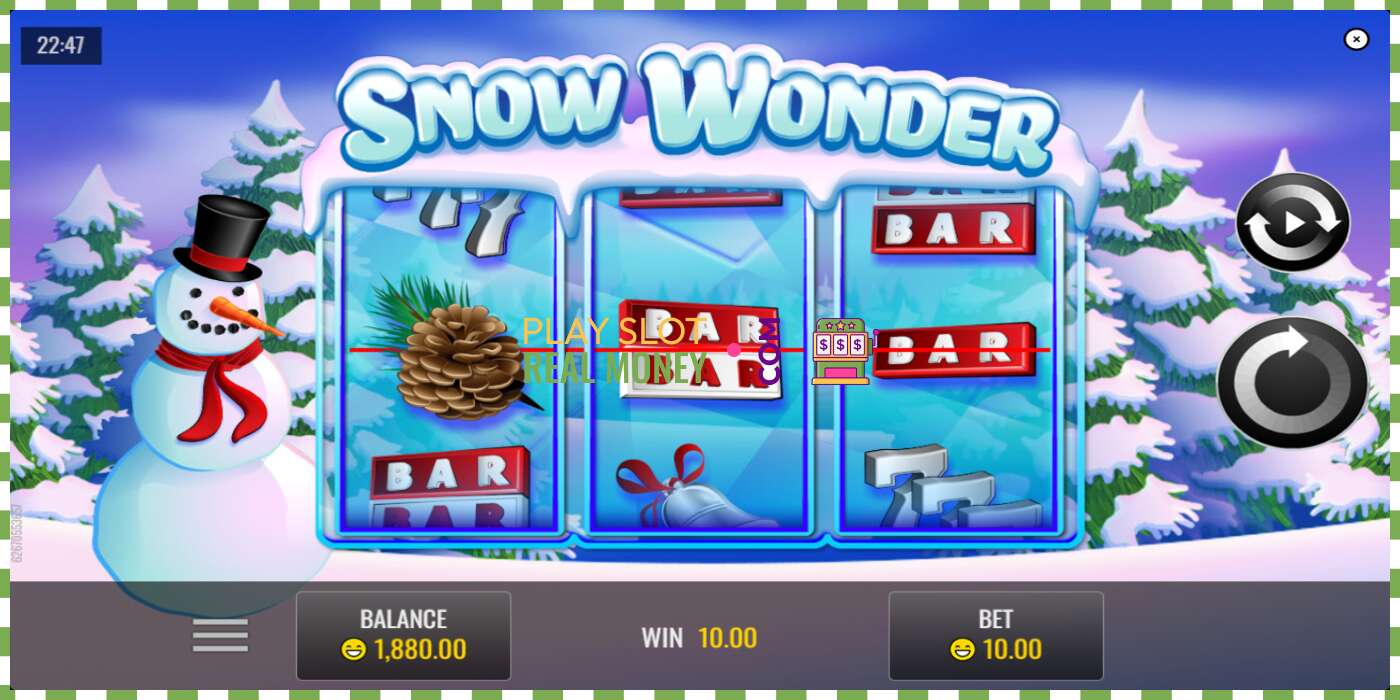 រន្ធដោត Snow Wonder សម្រាប់ប្រាក់ពិត, រូបភាព - 4