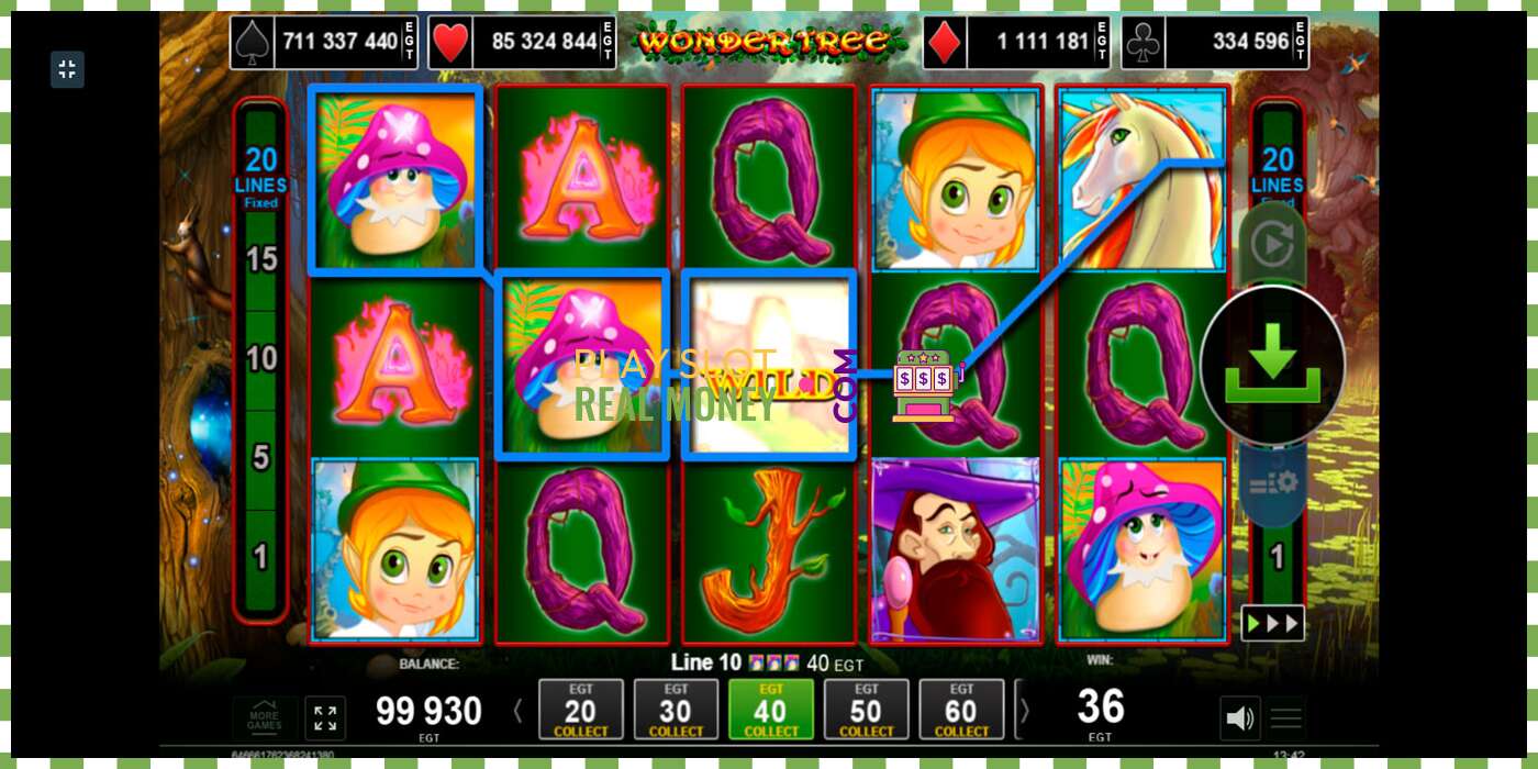 Slot Wonder Tree oikealla rahalla, kuva - 3