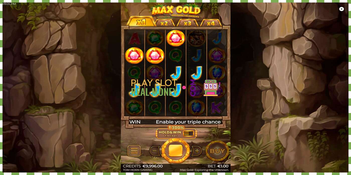 Slot Max Gold for real money, picture - 3