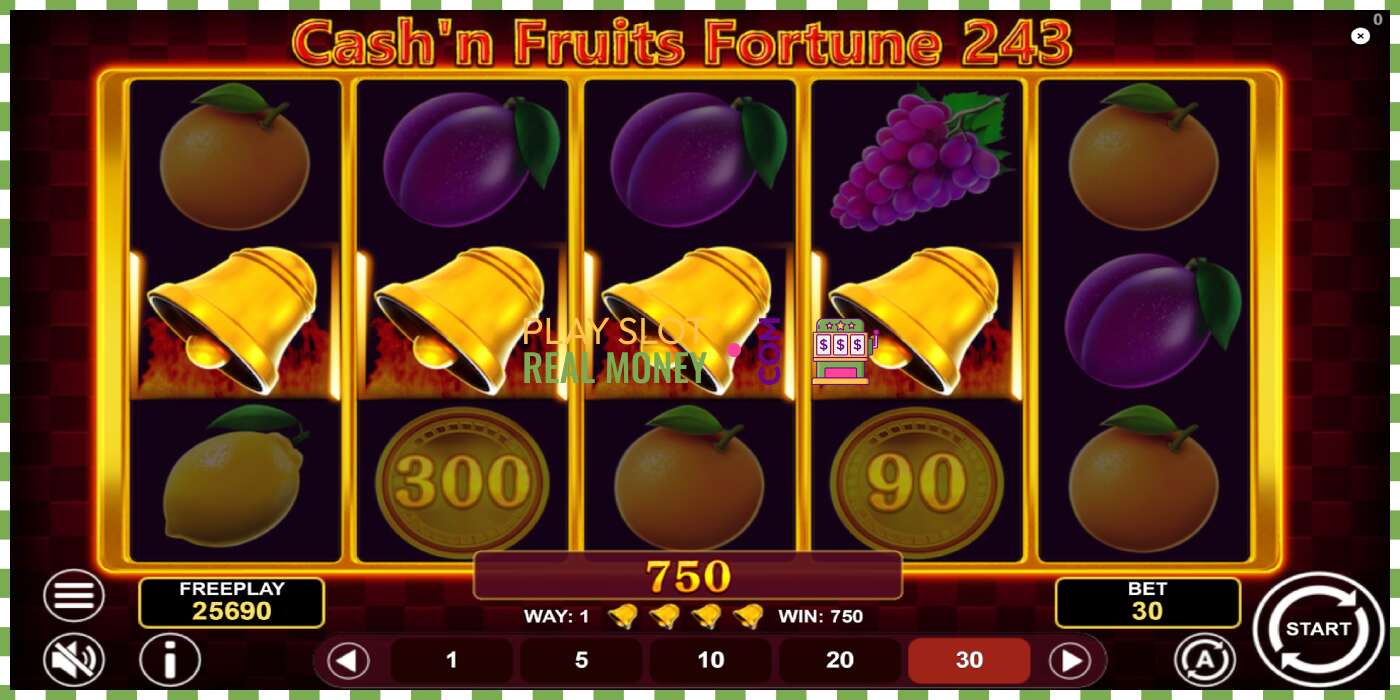 Слот Cashn Fruits Fortune 243 на реальные деньги, картинка - 5