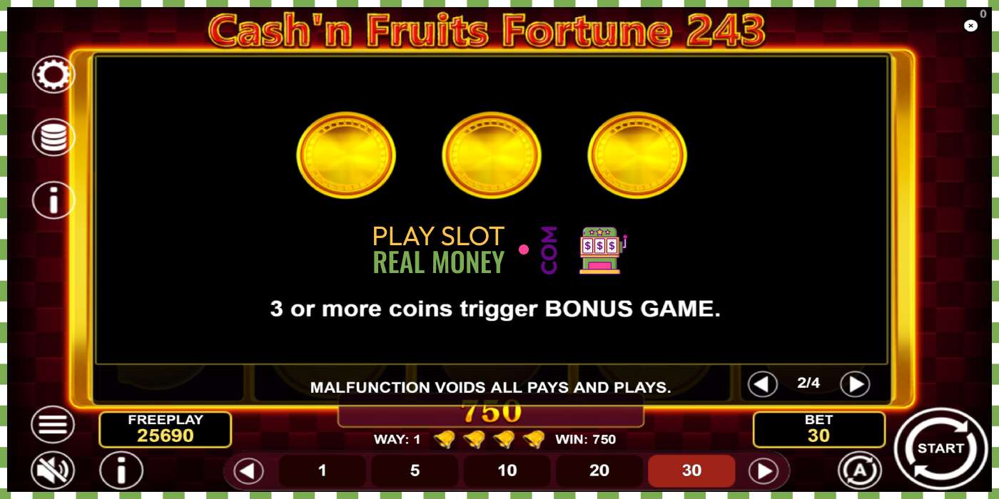 Слот Cashn Fruits Fortune 243 на реальные деньги, картинка - 7