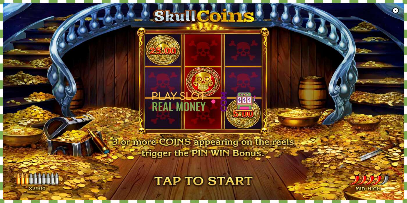 Slot Skull Coins oikealla rahalla, kuva - 1